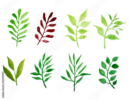  set of vector watercolor leaves.