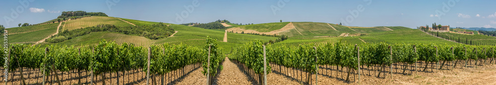 Panoramic view of a winery and vineyards in the rolling hills near San Gimignano, Chianti, Tuscany
