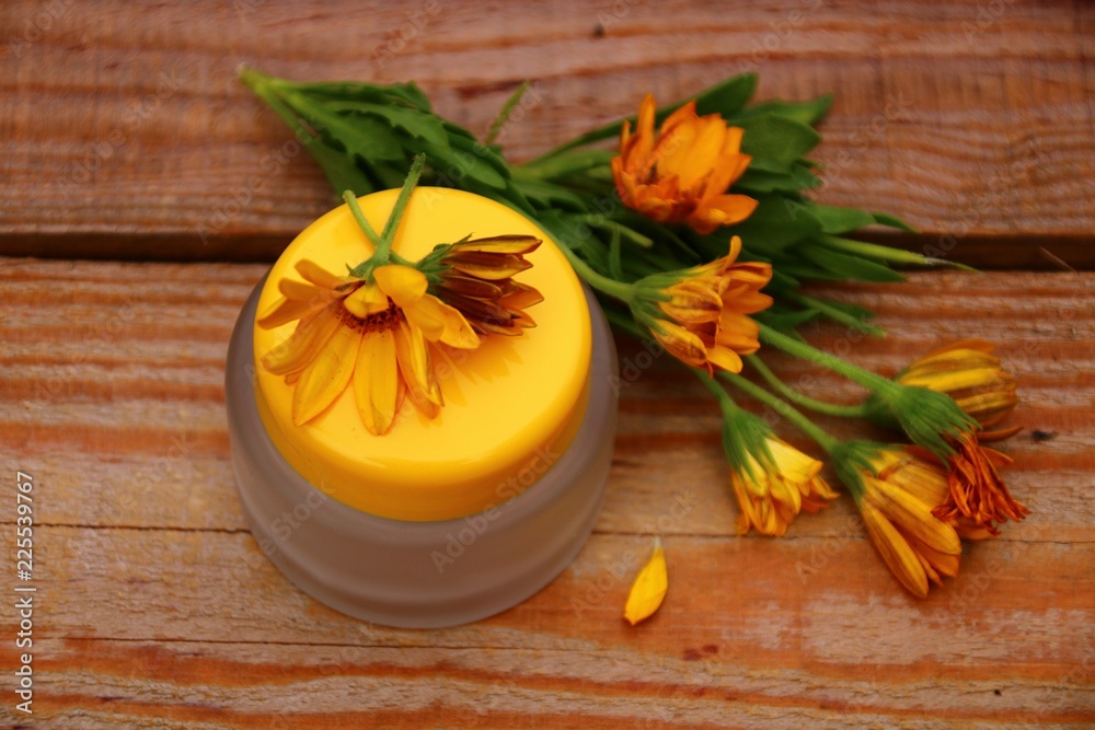 ringelblumensalbe ringelblumen naturheilkunde ringelblumensalbe ringelblumen naturheilkunde