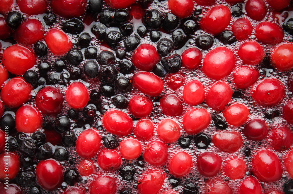 Blueberries and cranberries in fresh morse top view Blueberries and cranberries in fresh morse top view