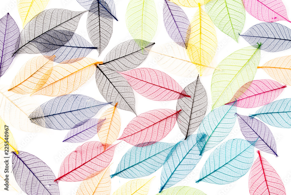Herbstblätter-Hintergrund Herbstblätter-Hintergrund