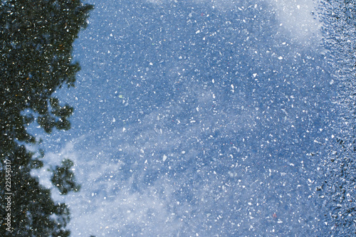 The image shows the reflection of the water surface.