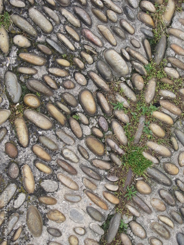 Stinboden mit eingelassenen Kiselsteinen und Moos photo