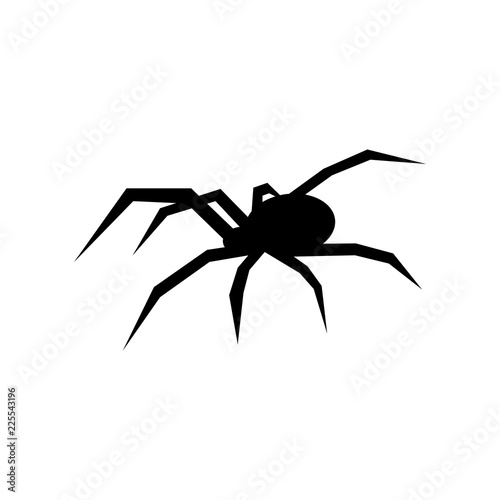 Black spider vector silhouette. Black widow. Flat vector illustration