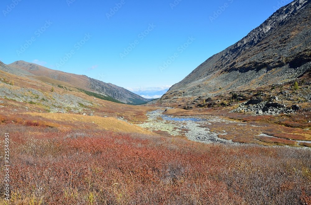 Russia, Altai repablic, Ust-Koksinsky district, river valley Acchan (Akchan) in september Russia, Altai repablic, Ust-Koksinsky district, river valley Acchan (Akchan) in september