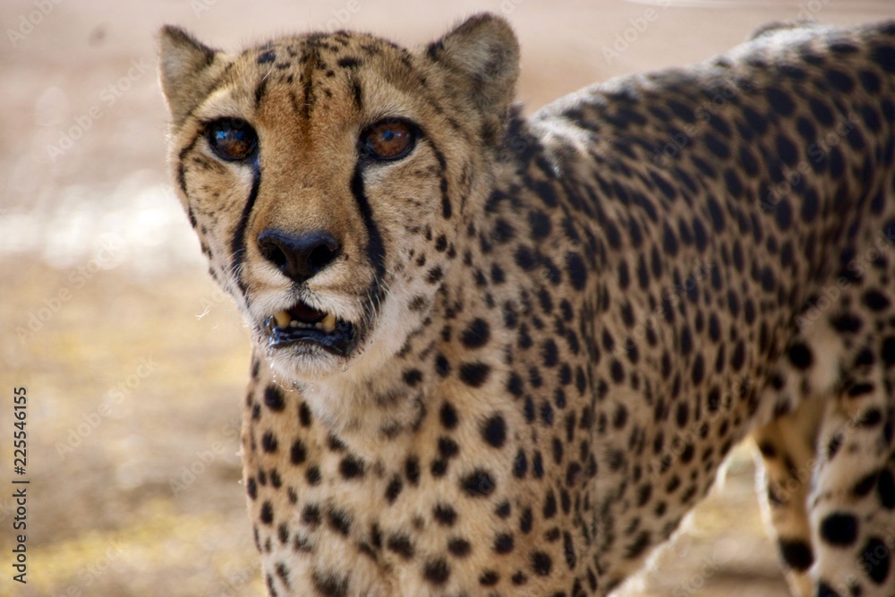 Namibia Namibia