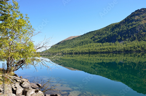 Russia, Altai territory, Ust-Koksinsky district, middle Multinskoye lake in september photo