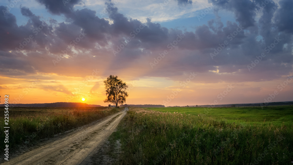 панорама заката в поле с дорогой и деревом, Россия, Урал 