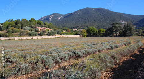 Landschaft im Luberon in der Provence
