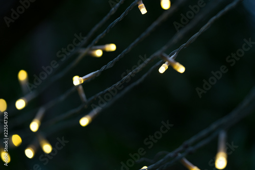 Partly focused yellow Christmas lights hanging on dark tree branch with a beautiful large bokeh on the background