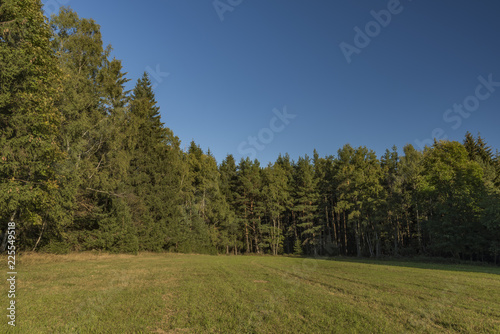 Meadows and forest in Sumava national park