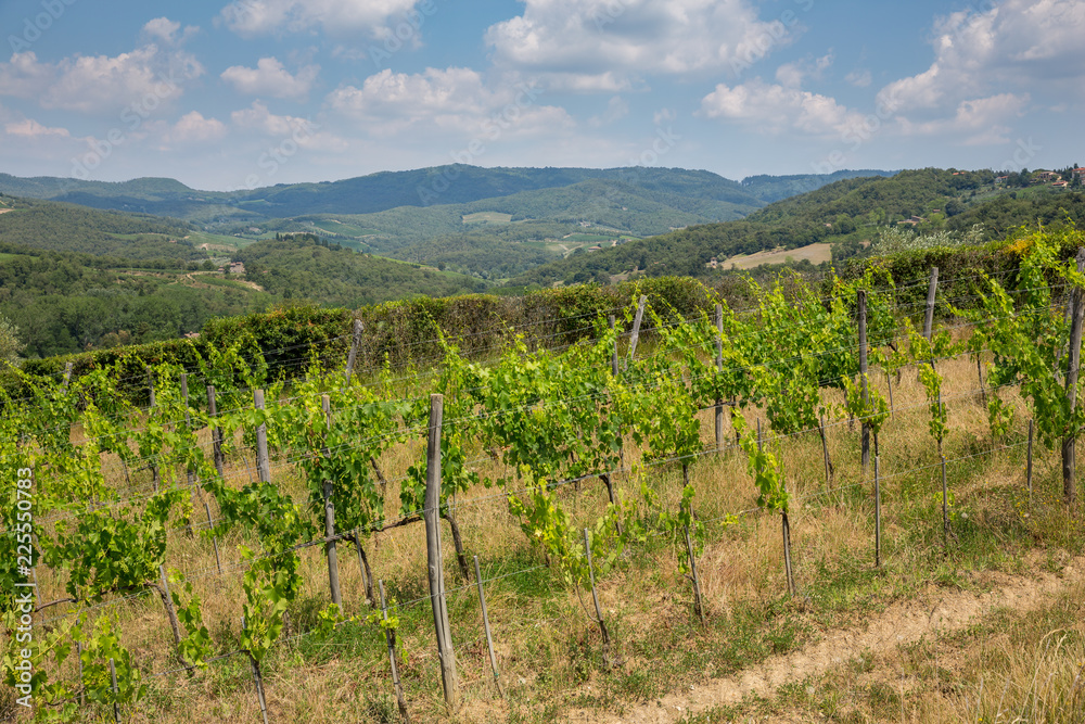 View of vineyards in the rolling hills near Radda, Chianti, Tuscany View of vineyards in the rolling hills near Radda, Chianti, Tuscany