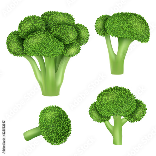Broccoli cabbage icon set. Realistic set of broccoli cabbage vector icons for web design isolated on white background