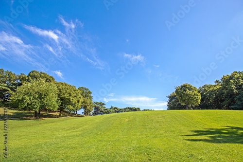 Olympic Park Landscape