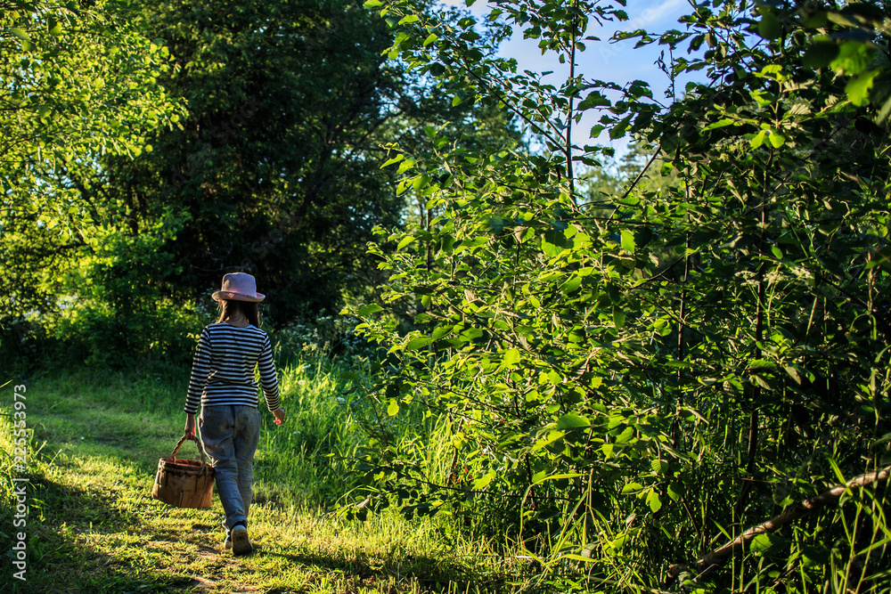 Young girl walking on a path through green woods carrying a birchbark basket Young girl walking on a path through green woods carrying a birchbark basket