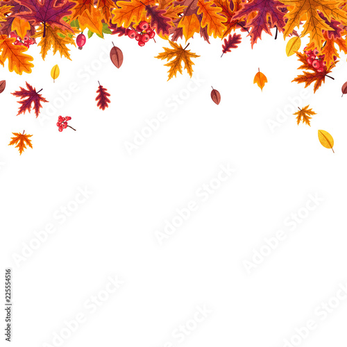 Vector seamless pattern with stylized autumn leaves in warm colors on a white background. © awesomedwarf