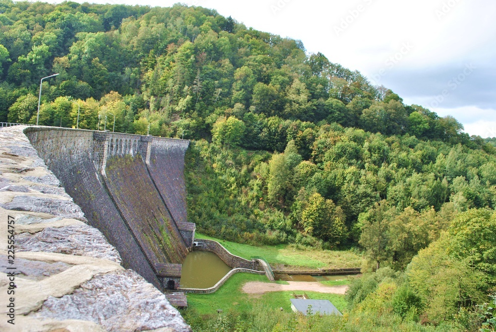 Fototapeta premium Tama w Zagórzu Śląskim
