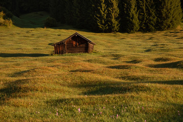 Handdoek met foto Huisarts Landschap in zacht natuurlijk licht  © Alfred