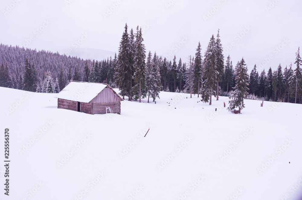 Snow-covered house in the mountains. Hut in a mountain meadow.