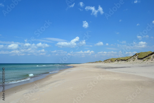 K  stenlandschaft im nationalpark thy  nord j  tland