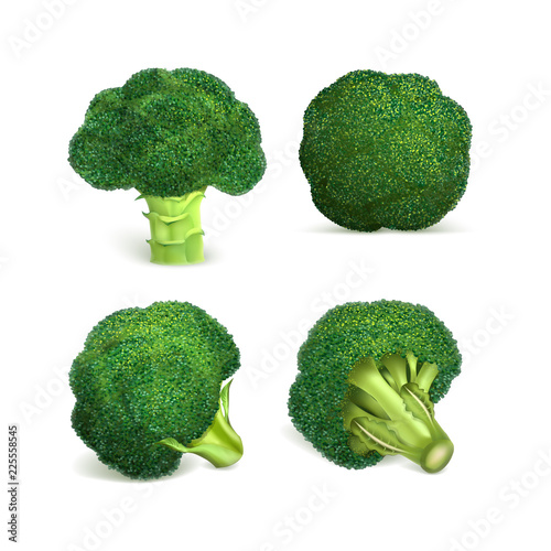 Broccoli icon set. Realistic set of broccoli vector icons for web design isolated on white background