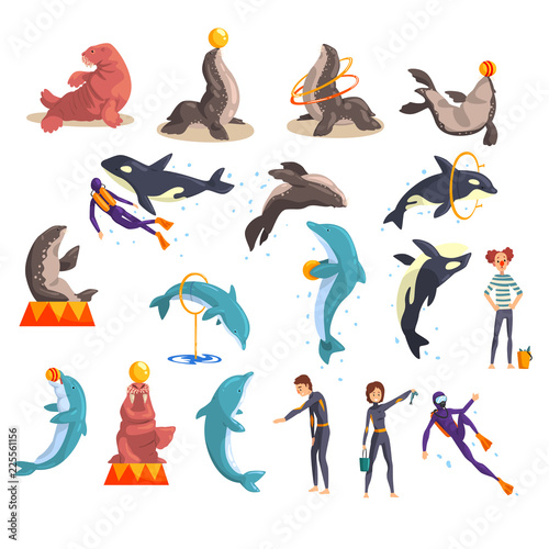 Oceanarium or dolphinarium set  sea animals and trainers performing in public in dolphinarium vector Illustration on a white background