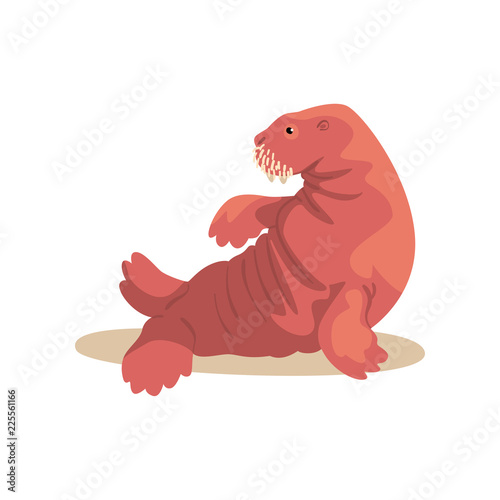 Sea lion performing in public in dolphinarium vector Illustration on a white background