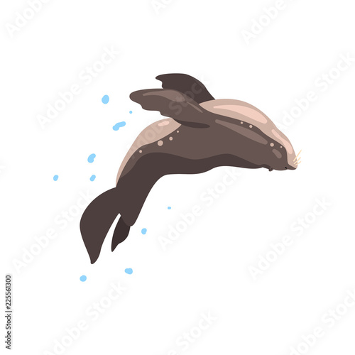 Fur seal performing in public in dolphinarium or circus vector Illustration on a white background
