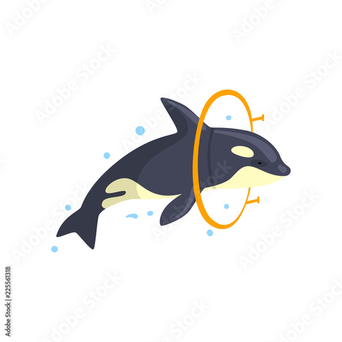 Orca jumping through a ring, sea animal performing in public in dolphinarium vector Illustration on a white background