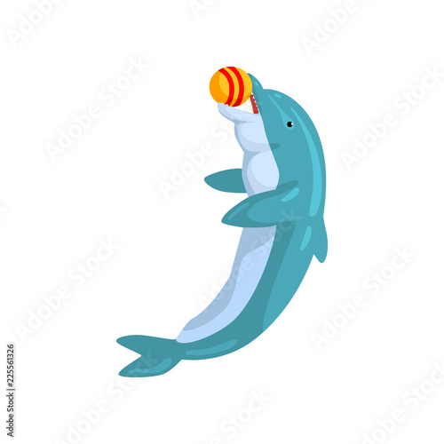 Dolphin, playing with ball, sea animal performing in public in dolphinarium vector Illustration on a white background