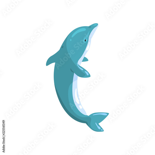 Dolphin sea animal jumping vector Illustration on a white background