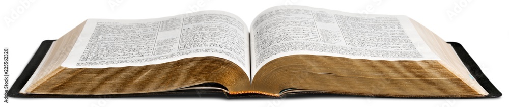 Naklejka premium Open Bible