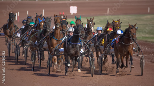 Course hippique - trot attelé © 120bpm