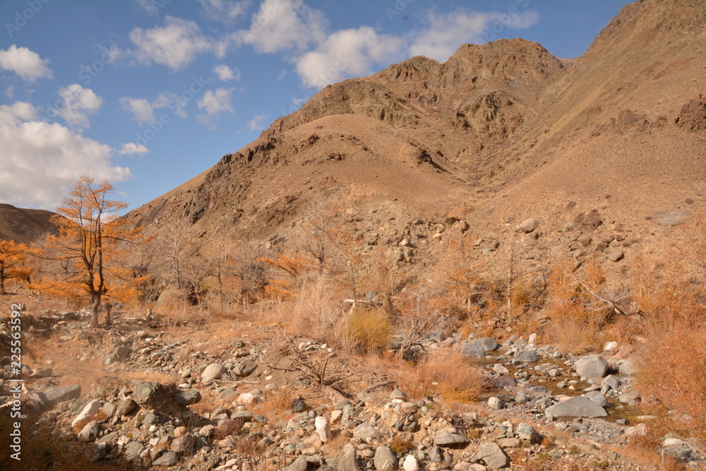 Fototapeta premium mountains landscape nature landscape view sky air oxygen autumn season grass trees blue yellow sand stone gray brown ridge water river rocks rock blue Altai,Russia open space