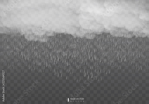 Rain isolated on transparent background. Vector EPS10