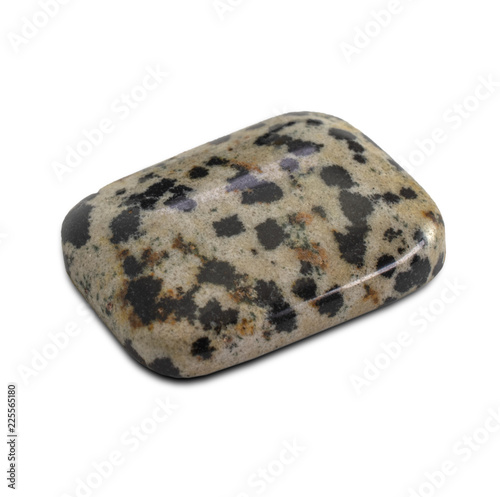 Cabochon cut dalmatian jasper stone isolated on white background