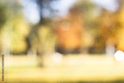 Outdoor park with tree and bokeh light, blur background