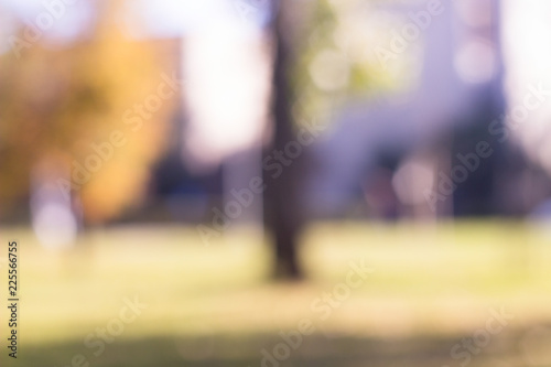 Outdoor park with tree and bokeh light, blur background