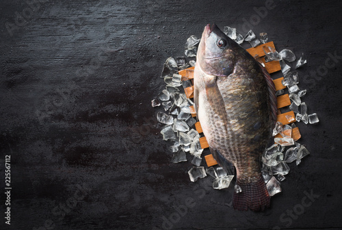 Canvas Print Fresh Tilapia fish on iced,top view