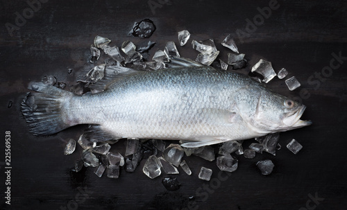 Fresh snapper fish on ice,Ready for cooking,top view