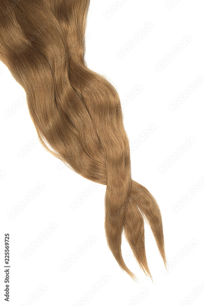 Brown hair isolated on white background. Long disheveled ponytail