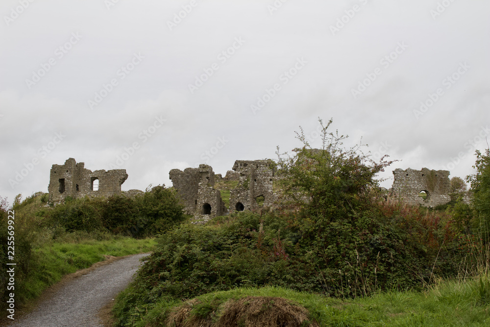 Fototapeta premium Ancient castle ruins in rural Laois County, Ireland
