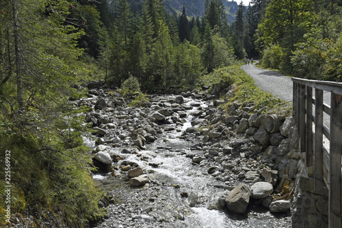 bärguntbach im kleinwalsertal photo