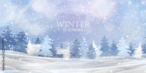 Winter is coming. Beautiful christmas, snowy woodland landscape with snow covered firs, coniferous forest, falling snow, snowflakes for winter and new year holidays. Christmas Winter background.