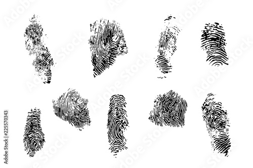 fingerprint set vector illustration