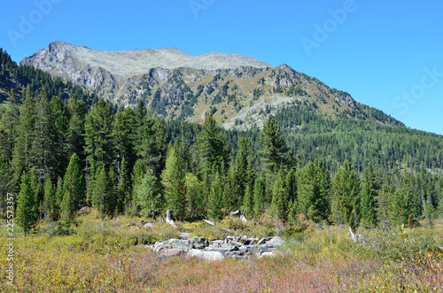 Russia, Altai mountains, valley of Multa river photo