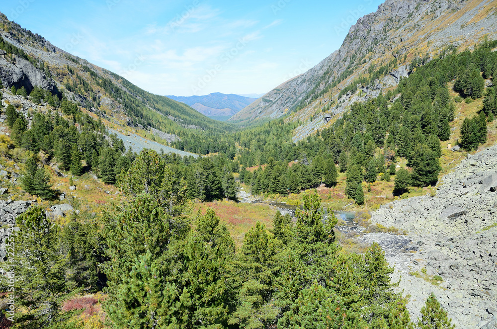 Fototapeta premium Russia, Altai mountains, valley of Kuiguk (Kuyguk) river