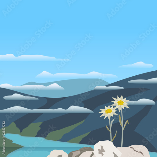 Mountain valley landscape. Alpine Edelweiss flower. Star shape national symbol of the Swiss Alpes. High-mountainous silvery plant. Vector tourist banner background. Adventure tourism Minimal image