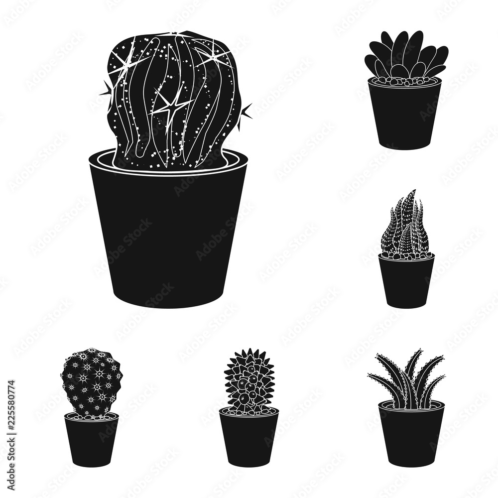 Fototapeta Vector design of cactus and pot logo. Collection of cactus and cacti stock vector illustration.