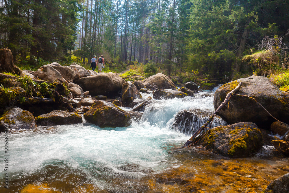 Meandering river